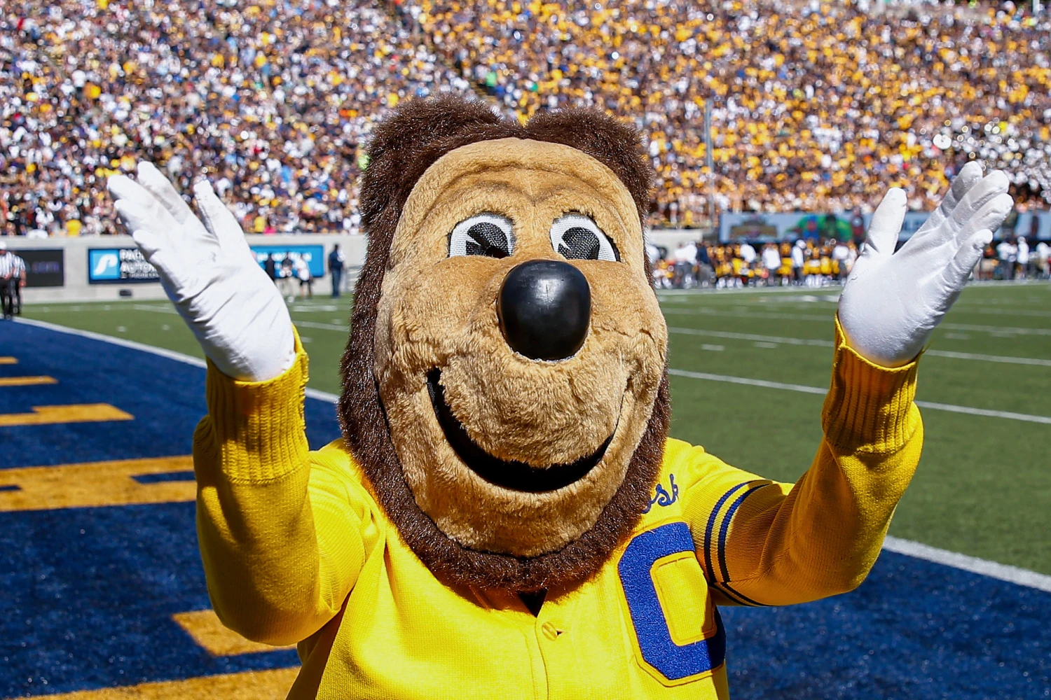 UC Berkeley Mascot